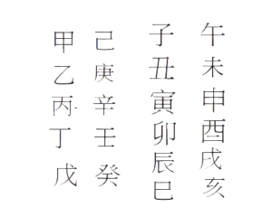 Advanced Ba Zi Chinese Astrology