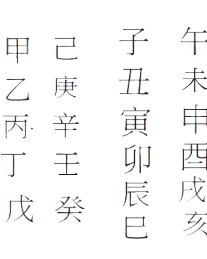 Advanced Ba Zi Chinese Astrology